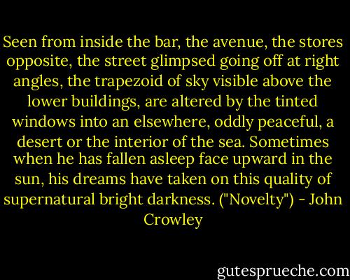 Seen from inside the bar, the avenue, the stores opposite, the street glimpsed going off at right angles, the trapezoid of sky visible above the lower buildings, are altered by the tinted windows into an elsewhere, oddly peaceful, a desert or the interior of the sea. Sometimes when he has fallen asleep face upward in the sun, his dreams have taken on this quality of supernatural bright darkness. ("Novelty") - John Crowley