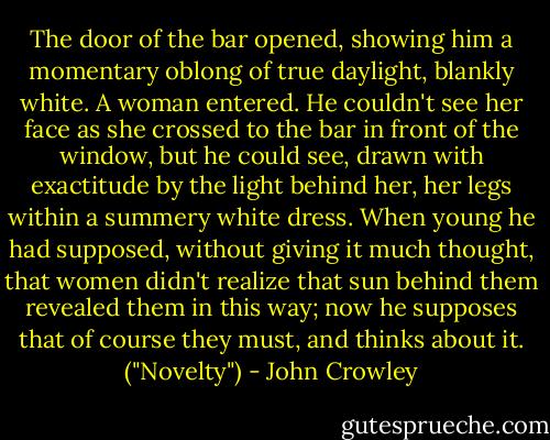 The door of the bar opened, showing him a momentary oblong of true daylight, blankly white. A woman entered. He couldn't see her face as she crossed to the bar in front of the window, but he could see, drawn with exactitude by the light behind her, her legs within a summery white dress. When young he had supposed, without giving it much thought, that women didn't realize that sun behind them revealed them in this way; now he supposes that of course they must, and thinks about it. ("Novelty") - John Crowley
