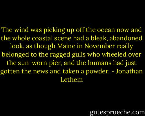 The wind was picking up off the ocean now and the whole coastal scene had a bleak, abandoned look, as though Maine in November really belonged to the ragged gulls who wheeled over the sun-worn pier, and the humans had just gotten the news and taken a powder. - Jonathan Lethem