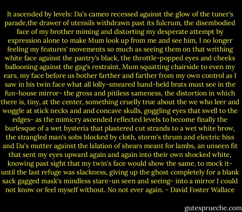 It ascended by levels: Da's cameo recessed against the glow of the tuner's parade,the drawer of utensils withdrawn past its fulcrum, the disembodied face of my brother miming and distorting my desperate attempt by expression alone to make Mum look up from me and see him, I no longer feeling my features' movements so much as seeing them on that writhing white face against the pantry's black, the throttle-popped eyes and cheeks ballooning against the gag's restraint, Mum squatting chairside to even my ears, my face before us bother farther and farther from my own control as I saw in his twin face what all lolly-smeared hand-held brats must see in the fun-house mirror- the gross and pitiless sameness, the distortion in which there is, tiny, at the center, something cruelly true about the we who leer and woggle at stick necks and and concave skulls, goggling eyes that swell to the edges- as the mimicry ascended reflected levels to become finally the burlesque of a wet hysteria that plastered cut strands to a wet white brow, the strangled man's sobs blocked by cloth, storm's thrum and electric hiss and Da's mutter against the lalation of shears meant for lambs, an unseen fit that sent my eyes upward again and again into their own shocked white, knowing past sight that my twin's face would show the same, to mock it- until the last refuge was slackness, giving up the ghost completely for a blank sack gagged mask's mindless stare-un seen and seeing- into a mirror I could not know or feel myself without. No not ever again. - David Foster Wallace