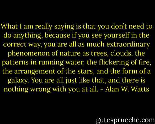 What I am really saying is that you don’t need to do anything, because if you see yourself in the correct way, you are all as much extraordinary phenomenon of nature as trees, clouds, the patterns in running water, the flickering of fire, the arrangement of the stars, and the form of a galaxy. You are all just like that, and there is nothing wrong with you at all. - Alan W. Watts