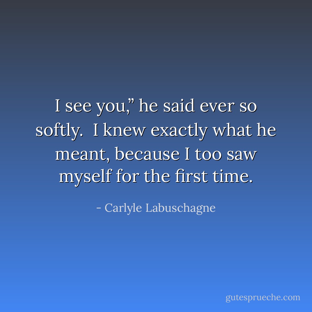 I see you,” he said ever so softly. <br />I knew exactly what he meant, because I too saw myself for the first time. - Carlyle Labuschagne