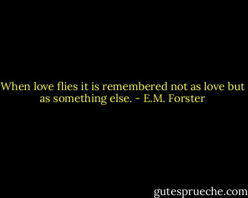 When love flies it is remembered not as love but as something else. - E.M. Forster