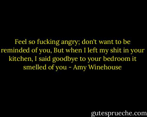 Feel so fucking angry; don't want to be reminded of you, But when I left my shit in your kitchen, I said goodbye to your bedroom it smelled of you - Amy Winehouse