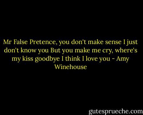 Mr False Pretence, you don't make sense<br />I just don't know you<br />But you make me cry, where's my kiss goodbye<br />I think I love you - Amy Winehouse