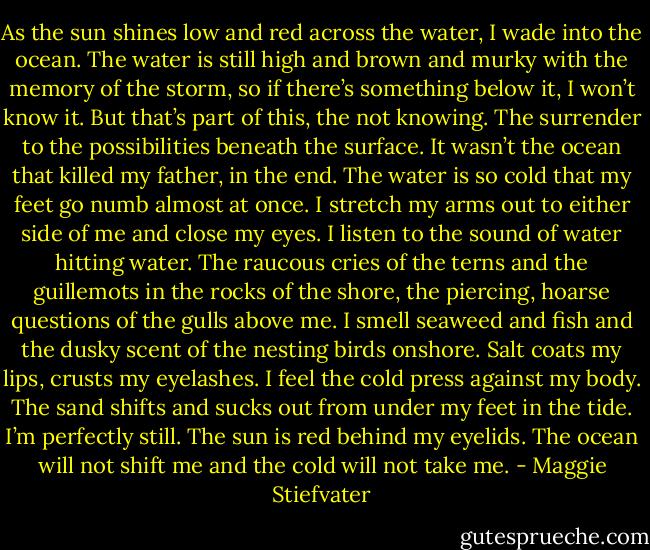 As the sun shines low and red across the water, I wade into the ocean. The water is still high and brown and murky with the memory of the storm, so if there’s something below it, I won’t know it. But that’s part of this, the not knowing. The surrender to the possibilities beneath the surface. It wasn’t the ocean that killed my father, in the end. The water is so cold that my feet go numb almost at once. I stretch my arms out to either side of me and close my eyes. I listen to the sound of water hitting water. The raucous cries of the terns and the guillemots in the rocks of the shore, the piercing, hoarse questions of the gulls above me. I smell seaweed and fish and the dusky scent of the nesting birds onshore. Salt coats my lips, crusts my eyelashes. I feel the cold press against my body. The sand shifts and sucks out from under my feet in the tide. I’m perfectly still. The sun is red behind my eyelids. The ocean will not shift me and the cold will not take me. - Maggie Stiefvater