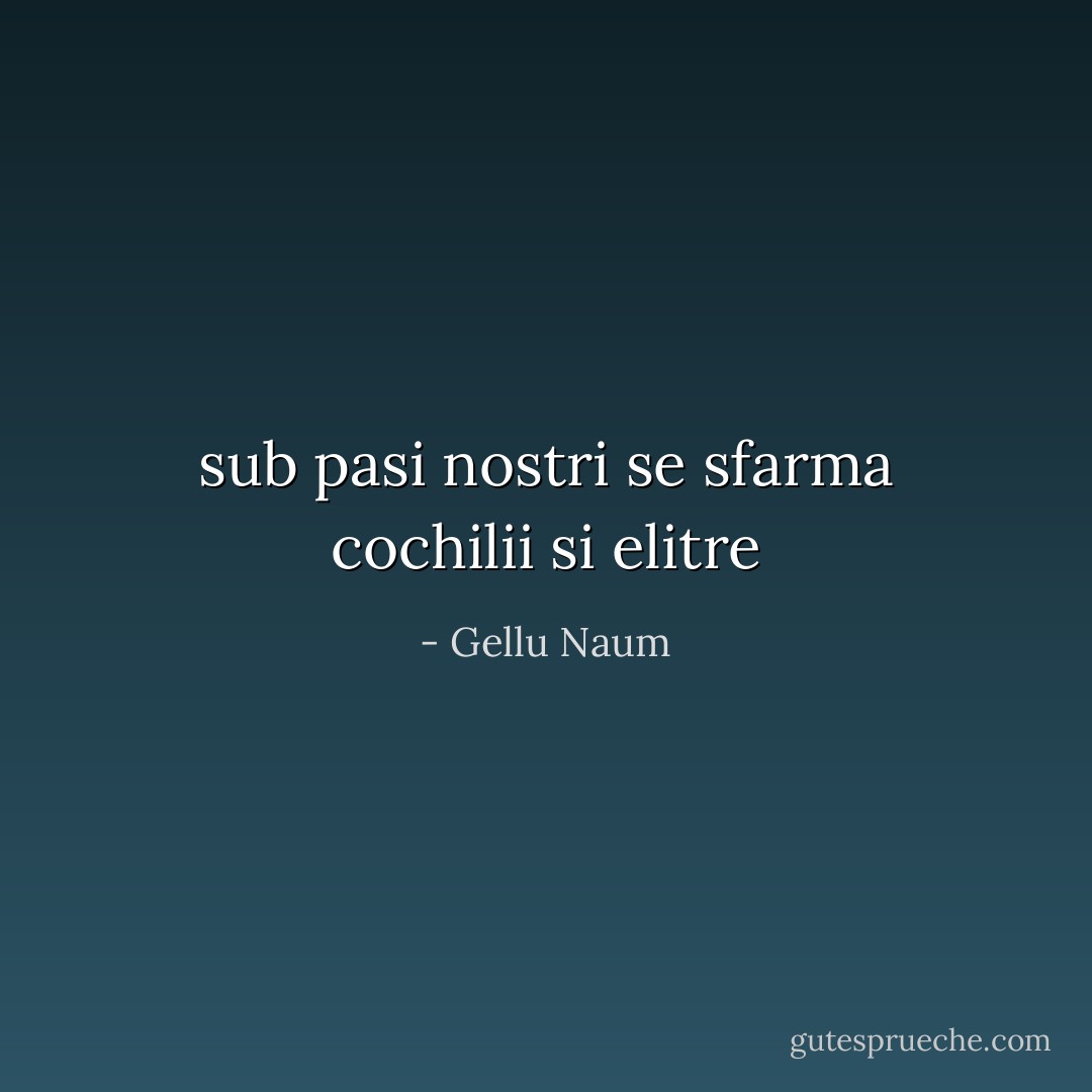 sub pasi nostri se sfarma cochilii si elitre - Gellu Naum