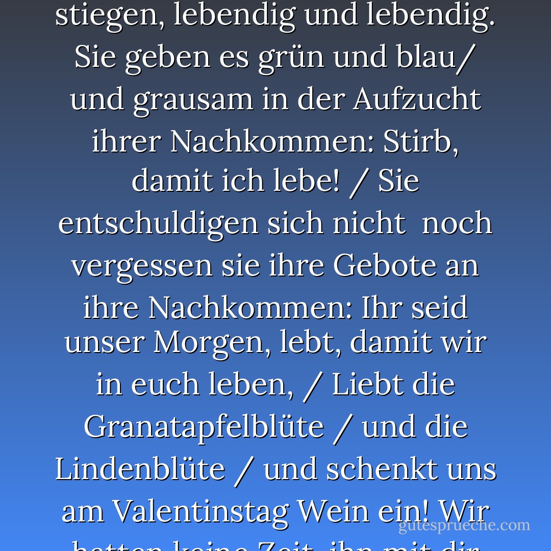 Ich sah die Märtyrer stehen, jeder auf seinem Stern, glücklich über die Hoffnung, die sie den lebenden Toten gaben.<br /><br /><br /><br />Und du sahst, ich sah ein Land, das die Märtyrer trugen und höher und höher stiegen, lebendig und lebendig. Sie geben es grün und blau/<br />und grausam in der Aufzucht ihrer Nachkommen: Stirb, damit ich lebe! / Sie entschuldigen sich nicht<br /> noch vergessen sie ihre Gebote an ihre Nachkommen: Ihr seid unser Morgen, lebt, damit wir in euch leben, / Liebt die Granatapfelblüte / und die Lindenblüte / und schenkt uns am Valentinstag Wein ein! Wir hatten keine Zeit, ihn mit dir zu trinken. Huch! Wir haben die Zeit nicht gefunden. Vergesst nicht, die Zeit zu finden, um die Liebe zu feiern und die Liebe für uns und für euch zu rächen! - Mahmoud Darwish<