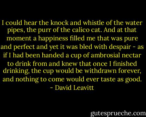 I could hear the knock and whistle of the water pipes, the purr of the calico cat. And at that moment a happiness filled me that was pure and perfect and yet it was bled with despair - as if I had been handed a cup of ambrosial nectar to drink from and knew that once I finished drinking, the cup would be withdrawn forever, and nothing to come would ever taste as good. - David Leavitt