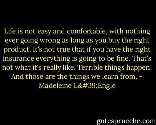 Life is not easy and comfortable, with nothing ever going wrong as long as you buy the right product. It's not true that if you have the right insurance everything is going to be fine. That's not what it's really like. Terrible things happen. And those are the things we learn from. - Madeleine L'Engle