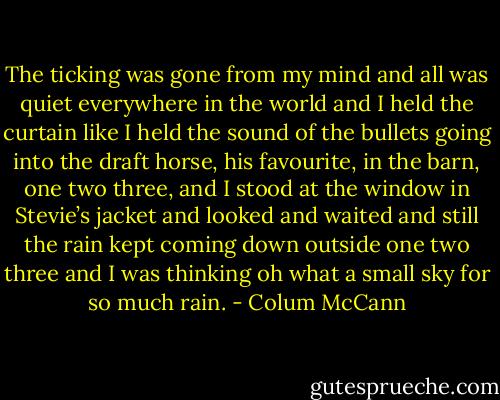 The ticking was gone from my mind and all was quiet everywhere in the world and I held the curtain like I held the sound of the bullets going into the draft horse, his favourite, in the barn, one two three, and I stood at the window in Stevie’s jacket and looked and waited and still the rain kept coming down outside one two three and I was thinking oh what a small sky for so much rain. - Colum McCann