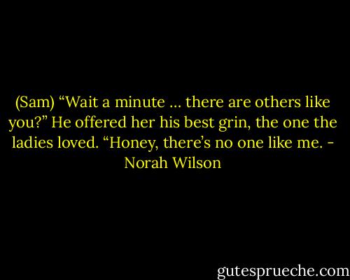 (Sam) “Wait a minute … there are others like you?”<br />He offered her his best grin, the one the ladies loved. “Honey, there’s no one like me. - Norah Wilson