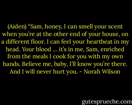 (Aiden) “Sam, honey, I can smell your scent when you’re at the other end of your house, on a different floor. I can feel your heartbeat in my head. Your blood … it’s in me, Sam, enriched from the meals I cook for you with my own hands. Believe me, baby, I’ll know you’re there. And I will never hurt you. - Norah Wilson