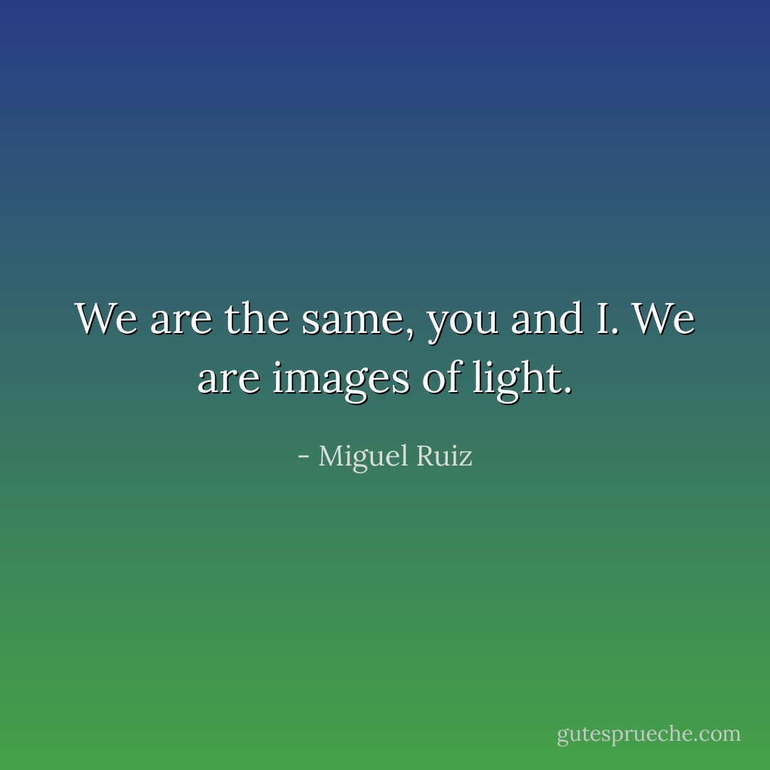 We are the same, you and I. We are images of light. - Miguel Ruiz