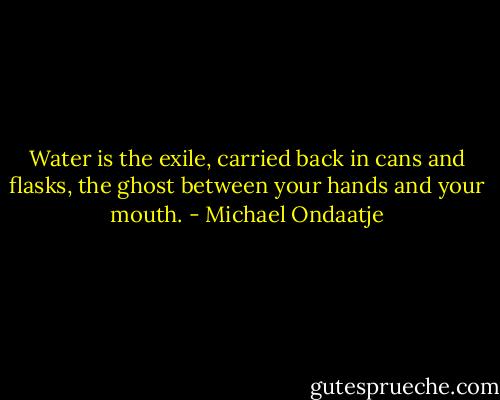 Water is the exile, carried back in cans and flasks, the ghost between your hands and your mouth. - Michael Ondaatje