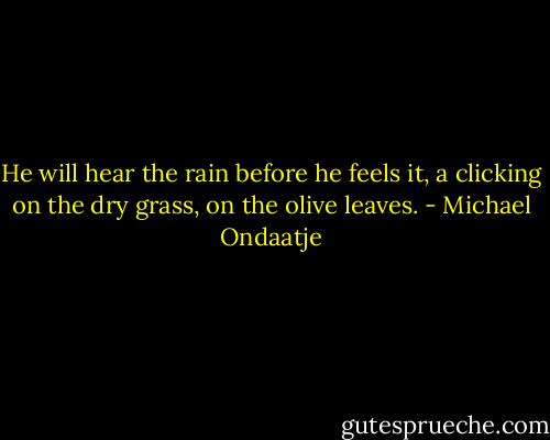 He will hear the rain before he feels it, a clicking on the dry grass, on the olive leaves. - Michael Ondaatje