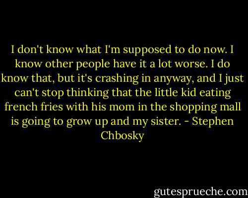 I don't know what I'm supposed to do now. I know other people have it a lot worse. I do know that, but it's crashing in anyway, and I just can't stop thinking that the little kid eating french fries with his mom in the shopping mall is going to grow up and my sister. - Stephen Chbosky