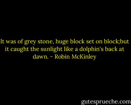 It was of grey stone, huge block set on block;but it caught the sunlight like a dolphin's back at dawn. - Robin McKinley