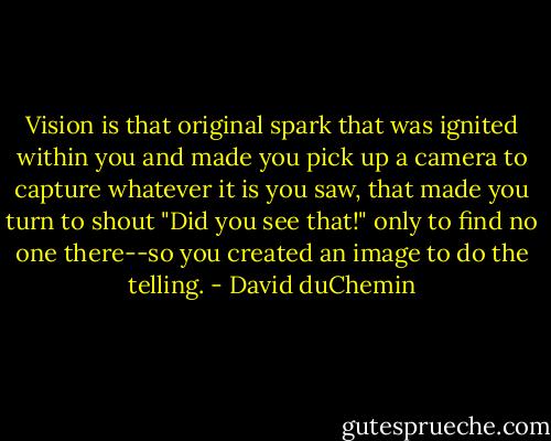 Vision is that original spark that was ignited within you and made you pick up a camera to capture whatever it is you saw, that made you turn to shout "Did you see that!" only to find no one there--so you created an image to do the telling. - David duChemin