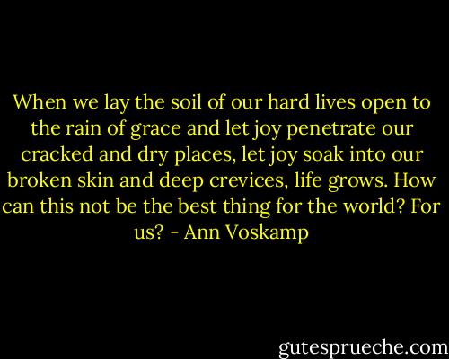 When we lay the soil of our hard lives open to the rain of grace and let joy penetrate our cracked and dry places, let joy soak into our broken skin and deep crevices, life grows. How can this not be the best thing for the world? For us? - Ann Voskamp