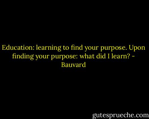 Education: learning to find your purpose. Upon finding your purpose: what did I learn? - Bauvard
