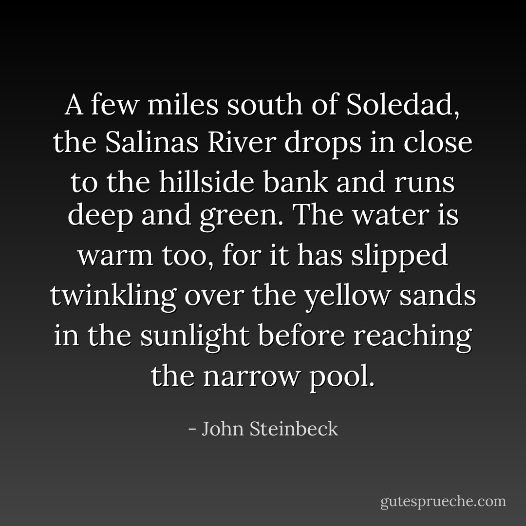 A few miles south of Soledad, the Salinas River drops in close to the hillside bank and runs deep and green. The water is warm too, for it has slipped twinkling over the yellow sands in the sunlight before reaching the narrow pool. - John Steinbeck