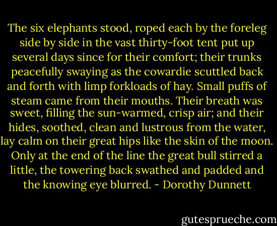 The six elephants stood, roped each by the foreleg side by side in the vast thirty-foot tent put up several days since for their comfort; their trunks peacefully swaying as the cowardie scuttled back and forth with limp forkloads of hay. Small puffs of steam came from their mouths. Their breath was sweet, filling the sun-warmed, crisp air; and their hides, soothed, clean and lustrous from the water, lay calm on their great hips like the skin of the moon. Only at the end of the line the great bull stirred a little, the towering back swathed and padded and the knowing eye blurred. - Dorothy Dunnett