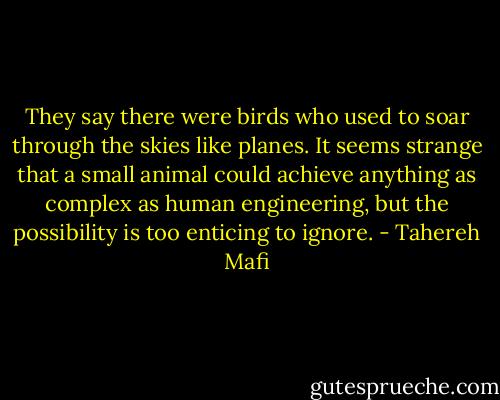 They say there were birds who used to soar through the skies like planes.<br />It seems strange that a small animal could achieve anything as complex as human engineering, but the possibility is too enticing to ignore. - Tahereh Mafi