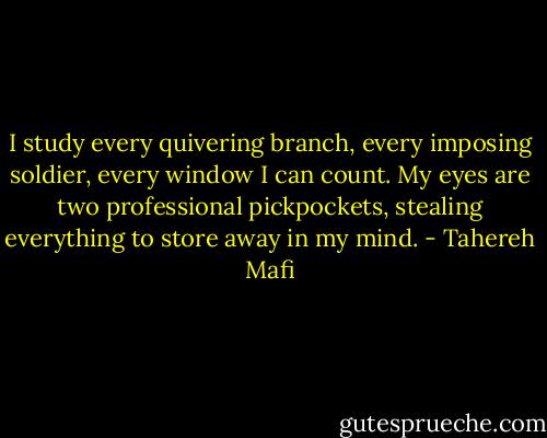 I study every quivering branch, every imposing soldier, every window I can count. My eyes are two professional pickpockets, stealing everything to store away in my mind. - Tahereh Mafi