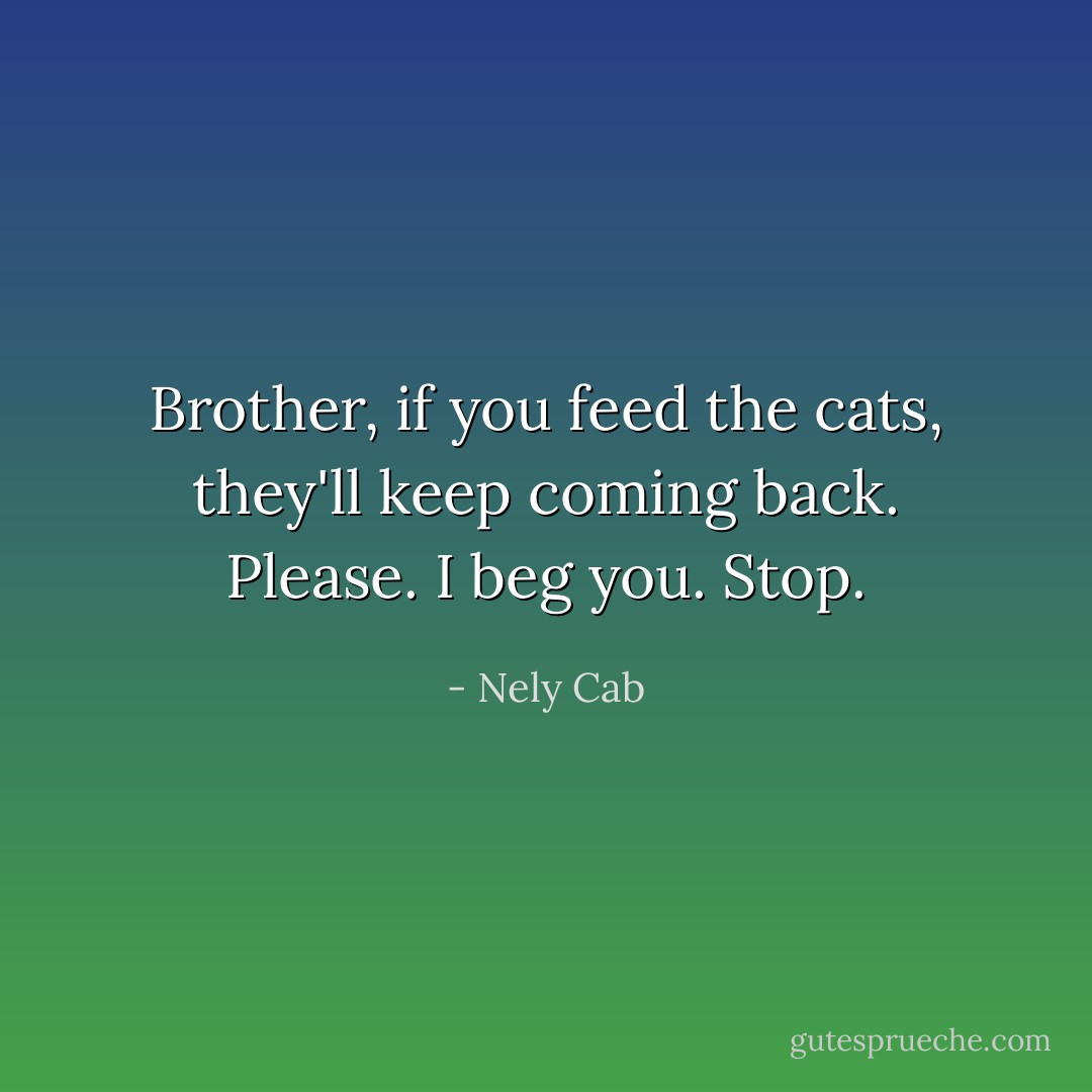 Brother, if you feed the cats, they'll keep coming back. Please. I beg you. Stop. - Nely Cab