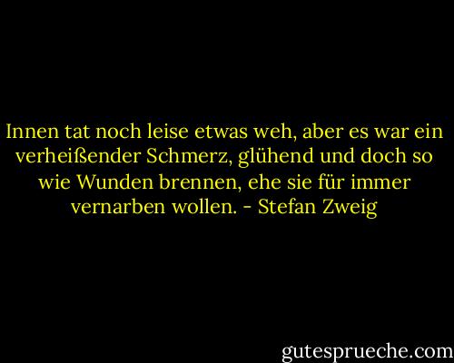 Innen tat noch leise etwas weh, aber es war ein verheißender Schmerz, glühend und doch so wie Wunden brennen, ehe sie für immer vernarben wollen. - Stefan Zweig