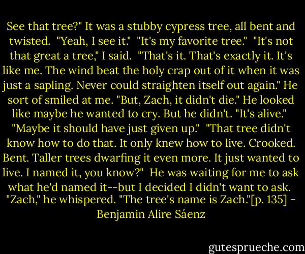 See that tree?" It was a stubby cypress tree, all bent and twisted.<br /><br />"Yeah, I see it."<br /><br />"It's my favorite tree."<br /><br />"It's not that great a tree," I said.<br /><br />"That's it. That's exactly it. It's like me. The wind beat the holy crap out of it when it was just a sapling. Never could straighten itself out again." He sort of smiled at me. "But, Zach, it didn't die." He looked like maybe he wanted to cry. But he didn't. "It's alive."<br /><br />"Maybe it should have just given up."<br /><br />"That tree didn't know how to do that. It only knew how to live. Crooked. Bent. Taller trees dwarfing it even more. It just wanted to live. I named it, you know?"<br /><br />He was waiting for me to ask what he'd named it--but I decided I didn't want to ask.<br /><br />"Zach," he whispered. "The tree's name is Zach."[p. 135] - Benjamin Alire Sáenz