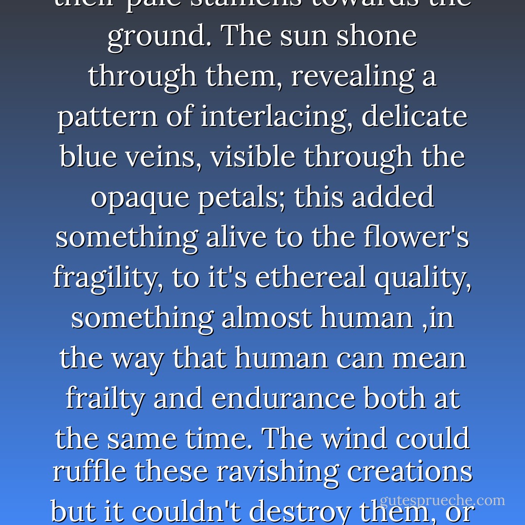 The breath of wind that moved them was still chilly on this day in May; the flowers gently resisted, curling up with a kind of trembling grace and turning their pale stamens towards the ground. The sun shone through them, revealing a pattern of interlacing, delicate blue veins, visible through the opaque petals; this added something alive to the flower's fragility, to it's ethereal quality, something almost human ,in the way that human can mean frailty and endurance both at the same time. The wind could ruffle these ravishing creations but it couldn't destroy them, or even crush them; they swayed there, dreamily; they seemed ready to fall but held fast to their slim strong branches-... - Irène Némirovsky