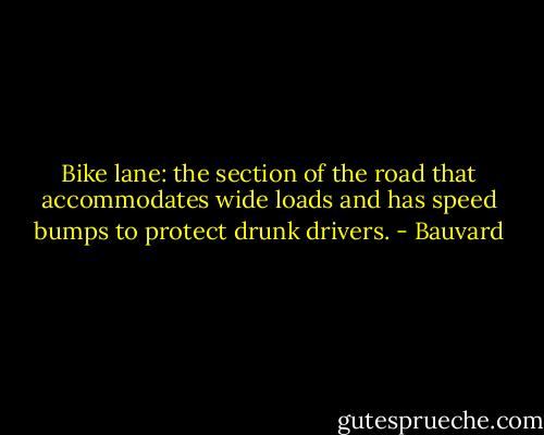 Bike lane: the section of the road that accommodates wide loads and has speed bumps to protect drunk drivers. - Bauvard