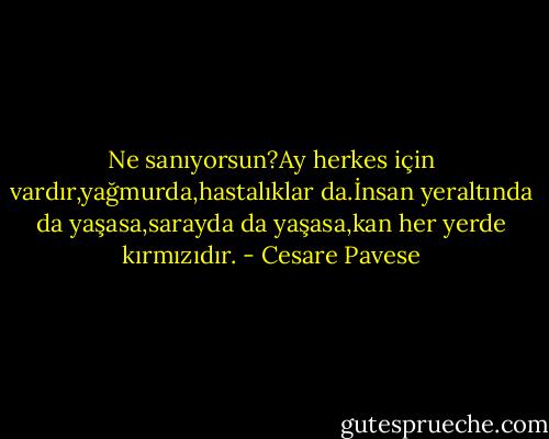 Ne sanıyorsun?Ay herkes için vardır,yağmurda,hastalıklar da.İnsan yeraltında da yaşasa,sarayda da yaşasa,kan her yerde kırmızıdır. - Cesare Pavese