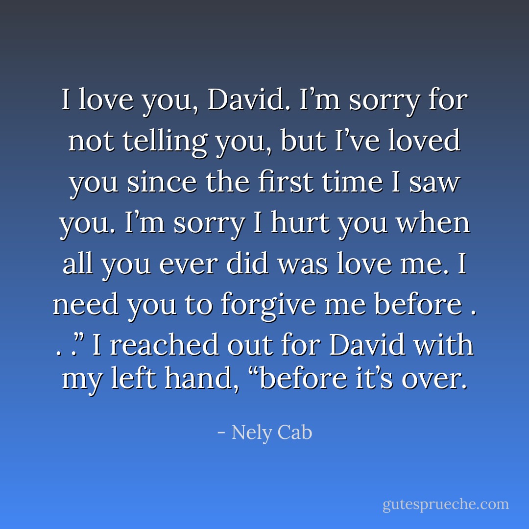 I love you, David. I’m sorry for not telling you, but I’ve loved you since the first time I saw you. I’m sorry I hurt you when all you ever did was love me. I need you to forgive me before . . .” I reached out for David with my left hand, “before it’s over. - Nely Cab