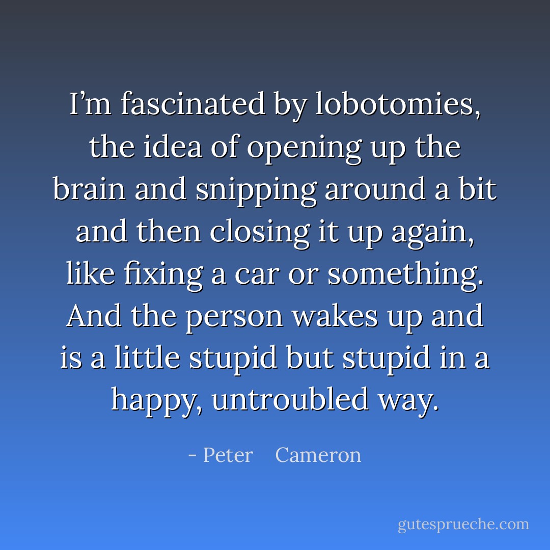 I’m fascinated by lobotomies, the idea of opening up the brain and snipping around a bit and then closing it up again, like fixing a car or something. And the person wakes up and is a little stupid but stupid in a happy, untroubled way. - Peter    Cameron