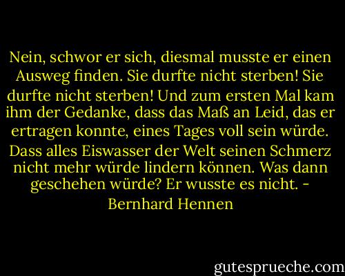 Nein, schwor er sich, diesmal musste er einen Ausweg finden. Sie durfte nicht sterben! Sie durfte nicht sterben! Und zum ersten Mal kam ihm der Gedanke, dass das Maß an Leid, das er ertragen konnte, eines Tages voll sein würde. Dass alles Eiswasser der Welt seinen Schmerz nicht mehr würde lindern können. Was dann geschehen würde? Er wusste es nicht. - Bernhard Hennen