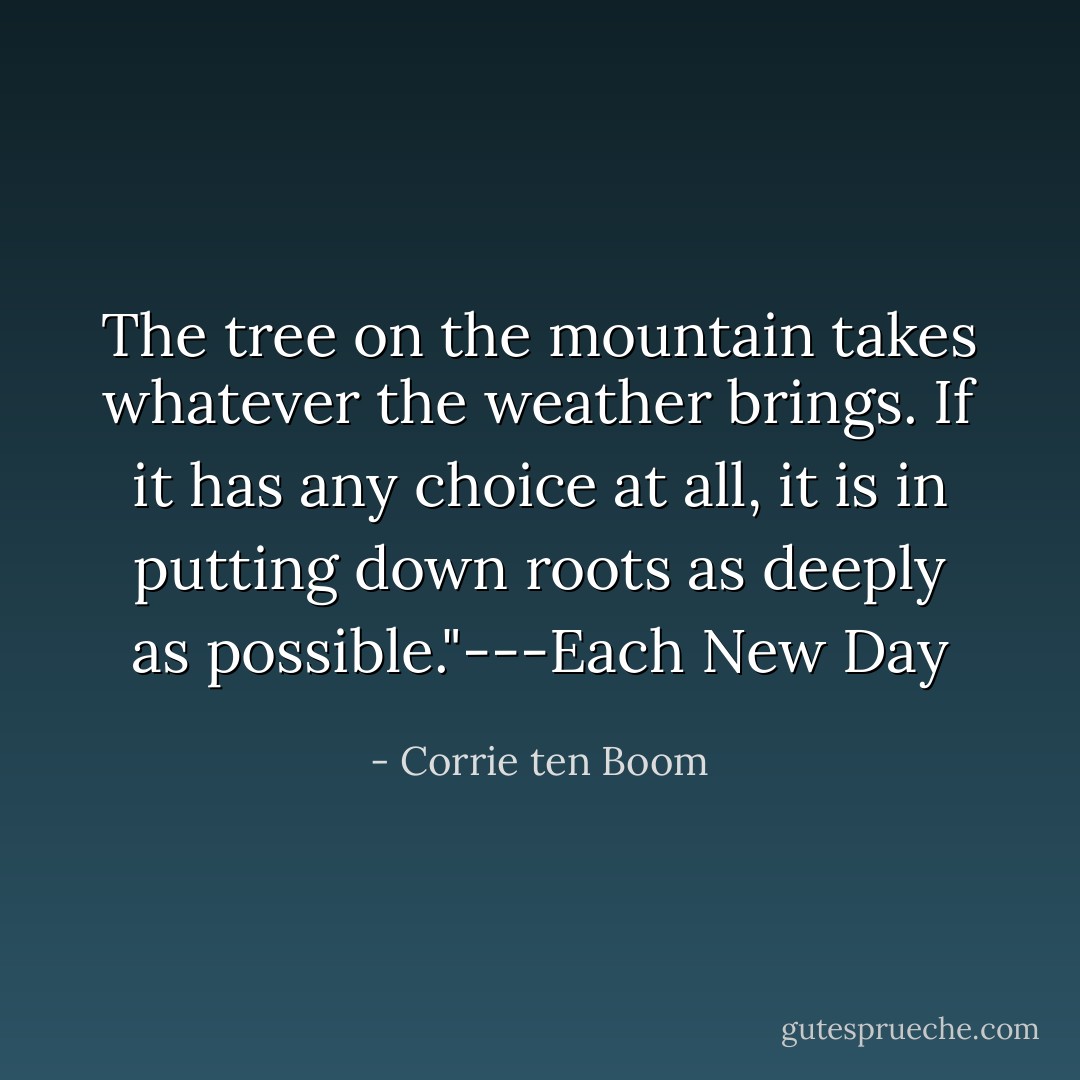 The tree on the mountain takes whatever the weather brings. If it has any choice at all, it is in putting down roots as deeply as possible."---Each New Day - Corrie ten Boom