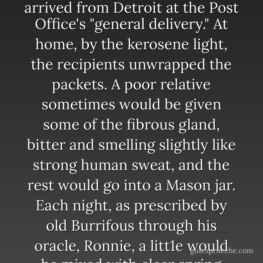 The odor of burning sulphur shifted on the night air, acrid, a little foul. Somewhere, the Canaan dwellers had learned of a supplier of castor - an extract from the beaver's perineal glands. Little packets containing the brown-orange mass of dried animal matter arrived from Detroit at the Post Office's "general delivery." At home, by the kerosene light, the recipients unwrapped the packets. A poor relative sometimes would be given some of the fibrous gland, bitter and smelling slightly like strong human sweat, and the rest would go into a Mason jar. Each night, as prescribed by old Burrifous through his oracle, Ronnie, a litt1e would be mixed with clear spring water. And as it gave the water a creamy, rusty look, the owner would sigh with awe and fear. The creature, wolf or man, became more real through the very specific which was to vanquish him. - Leslie H. Whitten Jr.