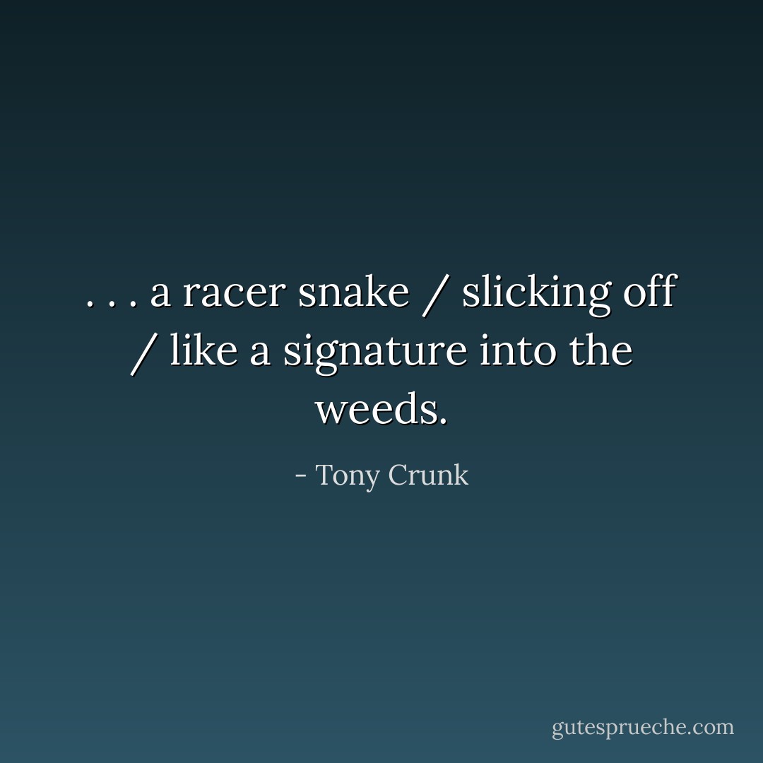 . . . a racer snake / slicking off / like a signature into the weeds. - Tony Crunk