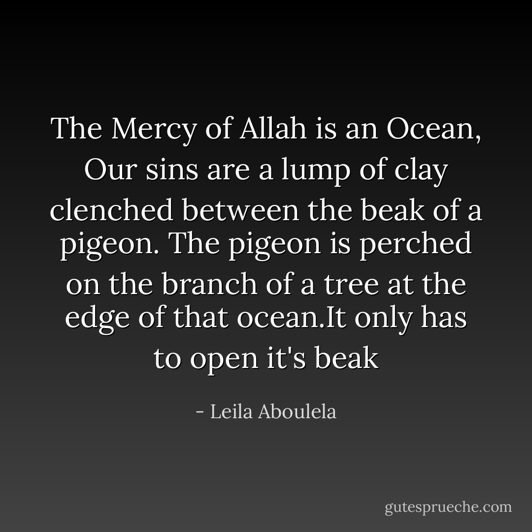 The Mercy of Allah is an Ocean, Our sins are a lump of clay clenched between the beak of a pigeon. The pigeon is perched on the branch of a tree at the edge of that ocean.It only has to open it's beak - Leila Aboulela