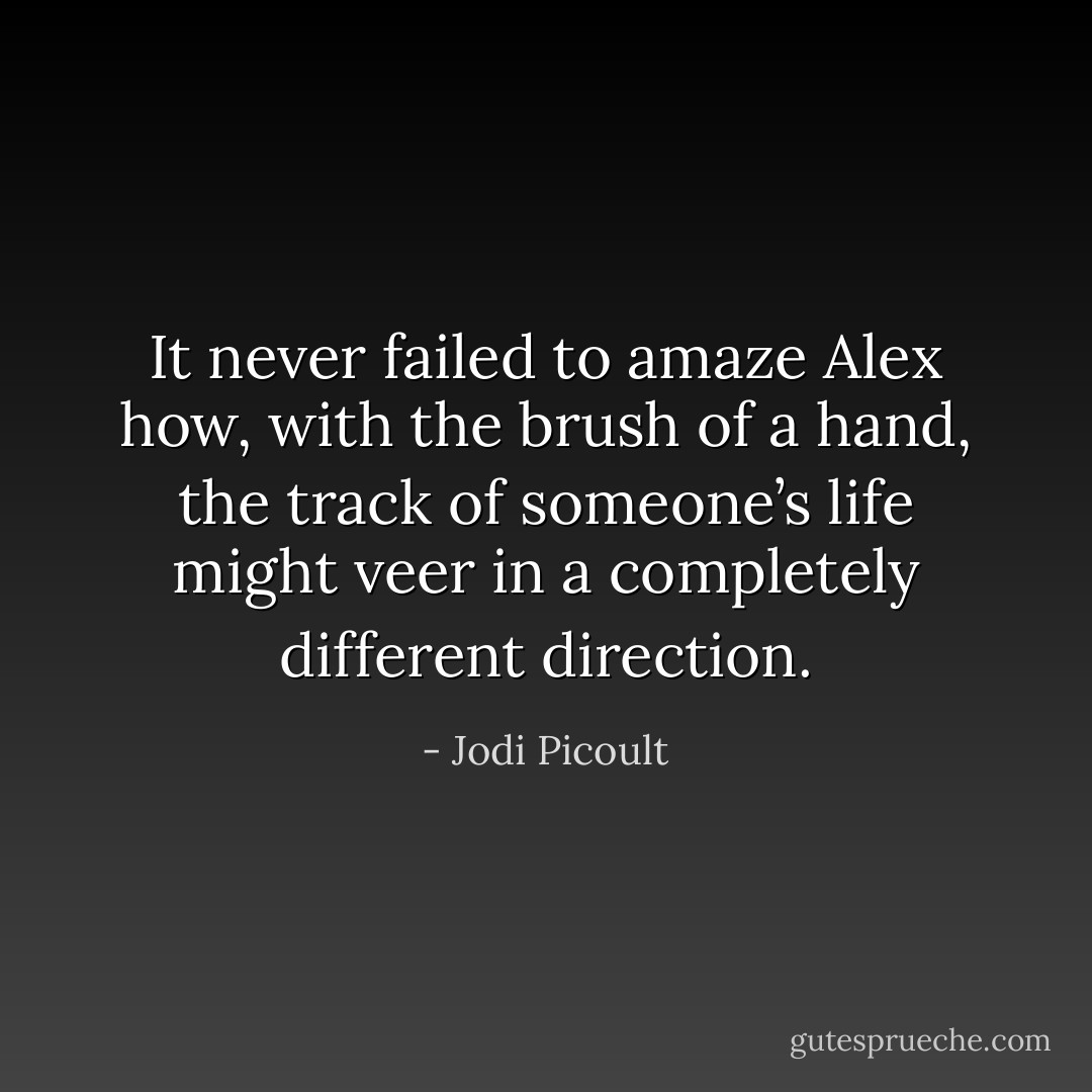 It never failed to amaze Alex how, with the brush of a hand, the<br />track of someone’s life might veer in a completely different direction. - Jodi Picoult