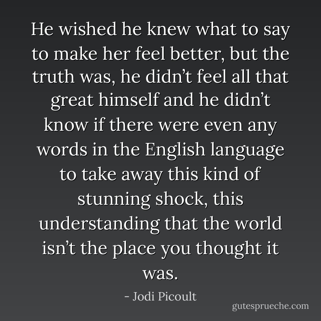 He wished he knew what to say to make her feel better, but the truth was, he<br />didn’t feel all that great himself and he didn’t know if there were even any words in the English<br />language to take away this kind of stunning shock, this understanding that the world isn’t the place<br />you thought it was. - Jodi Picoult