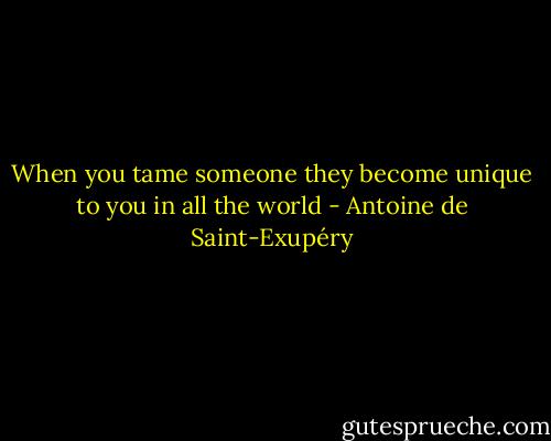 When you tame someone they become unique to you in all the world - Antoine de Saint-Exupéry