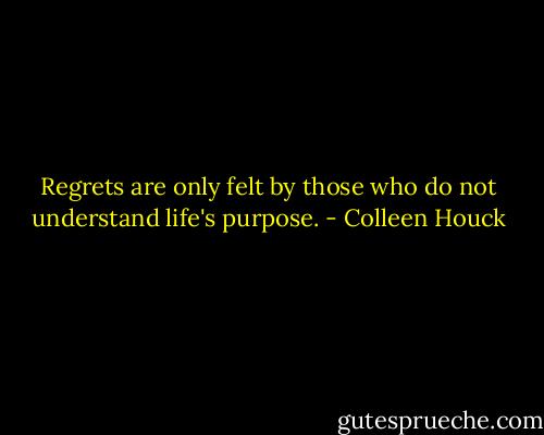 Regrets are only felt by those who do not understand life's purpose. - Colleen Houck