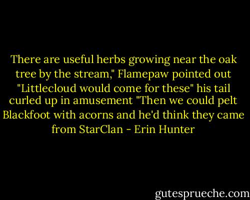There are useful herbs growing near the oak tree by the stream," Flamepaw pointed out "Littlecloud would come for these" his tail curled up in amusement "Then we could pelt Blackfoot with acorns and he'd think they came from StarClan - Erin Hunter