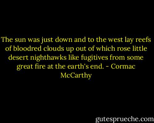 The sun was just down and to the west lay reefs of bloodred clouds up out of which rose little desert nighthawks like fugitives from some great fire at the earth's end. - Cormac McCarthy
