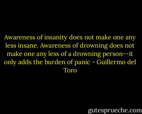 Awareness of insanity does not make one any less insane. Awareness of drowning does not make one any less of a drowning person--it only adds the burden of panic - Guillermo del Toro