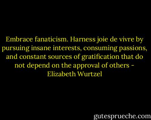 Embrace fanaticism. Harness joie de vivre by pursuing insane interests, consuming passions, and constant sources of gratification that do not depend on the approval of others - Elizabeth Wurtzel